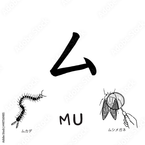 Japanese alphabets illustration Hand drawn sketch drawing. Japanese letter of Mu Vector illustration of calligraphy Katakana word with example. Graphic design elements. Isolated objects for education.