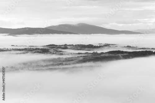 Solińskie Lake bathed in morning fog, Solina, Bieszczady, sunrise