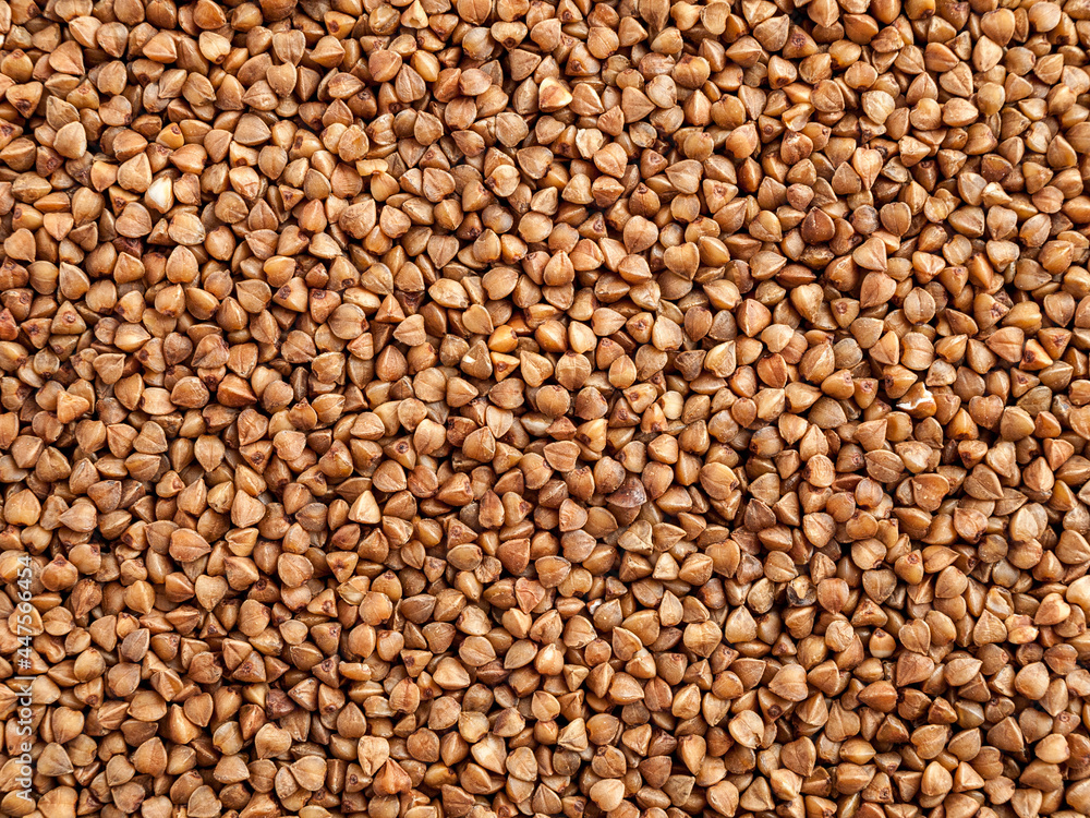Background of buckwheat groats close-up, grain macro, food Background of buckwheat groats close-up, grain macro, food
