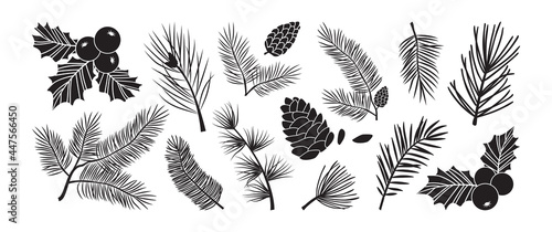 Christmas tree vector branches, fir and pine cones, evergreen set, holly berry icon, holiday decoration, black winter symbols isolated on white background. Nature illustration