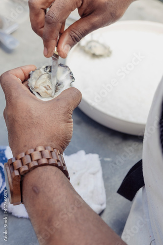 Εκτύπωση καμβά Person shucking oysters in their backyard
