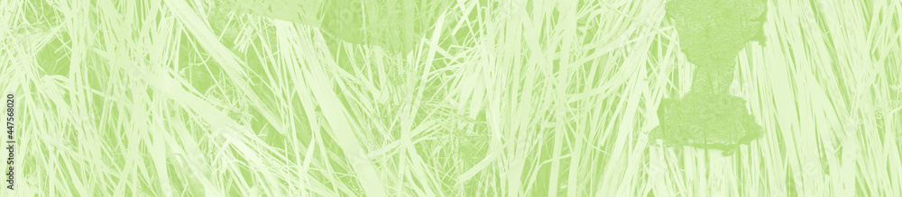 abstract light green background with copy space for design abstract light green background with copy space for design