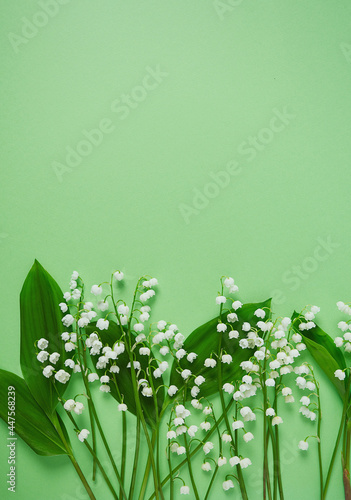 bouquet of lillies of the valley on green surface
