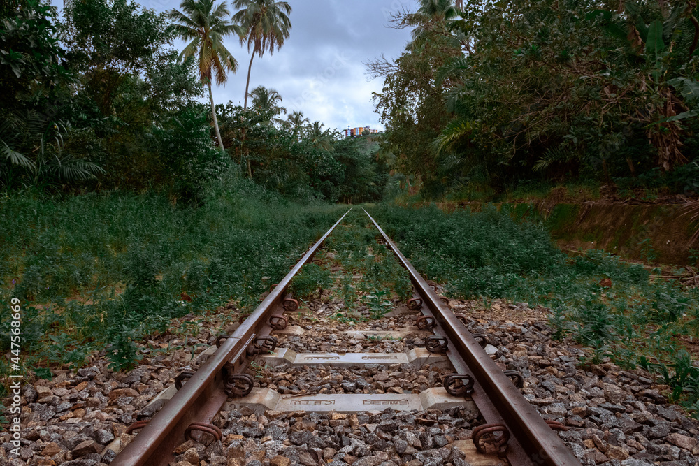 Fototapeta premium railroad