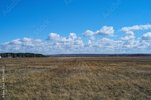 Spring country landscape with an image of the field
