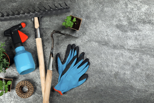 Gardening tools and plants on grey background  flat lay. Space for text