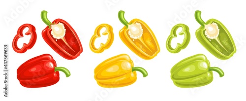 Whole red, green, and yellow sweet bell peppers. Vector color realistic illustration