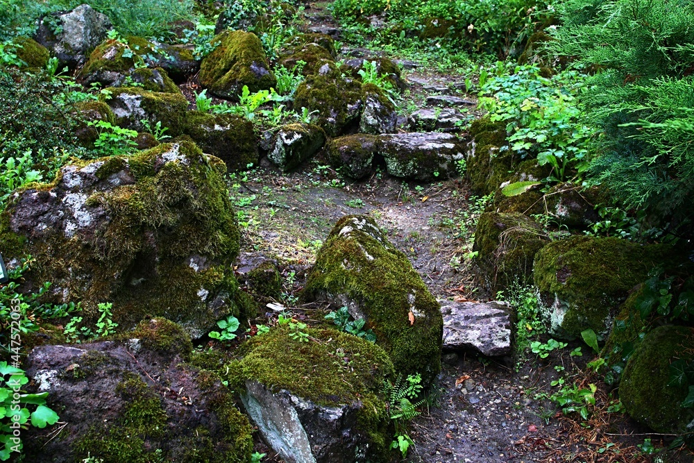 Shady garden pathway with moss covered decorative stones around stone stairs, some fern and other shade loving plants around. Shady garden pathway with moss covered decorative stones around stone stairs, some fern and other shade loving plants around.