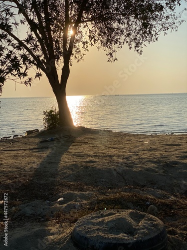 sunset at Bahrain beach