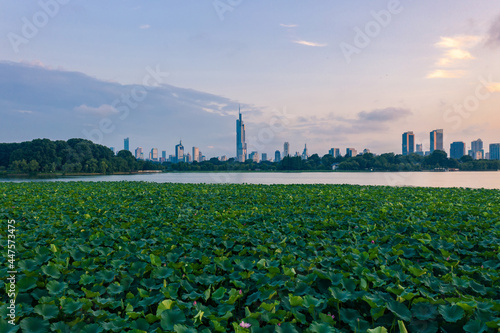 Nanjing City at Sunset in Summer