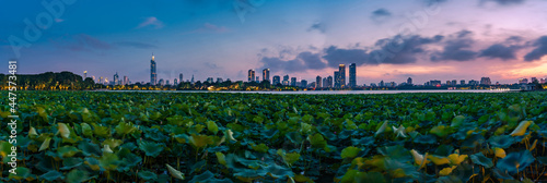 Nanjing City at Sunset in Summer