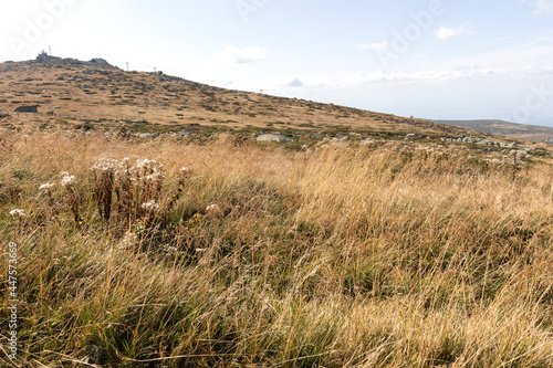 Amazing Autumn Landscape Vitosha Mountain  Bulgaria