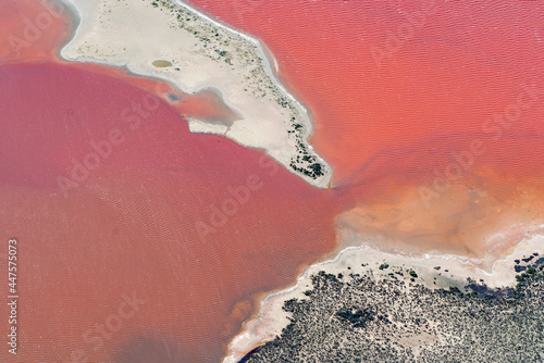 Hutt Lagoon contains the world's largest microalgae production. These artificial salt ponds are used to farm Dunaliella salina, which is a source of beta-carotene; a food-coloring agent, and pigment. photo