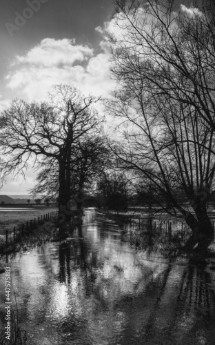 trees in winter flooded field in england