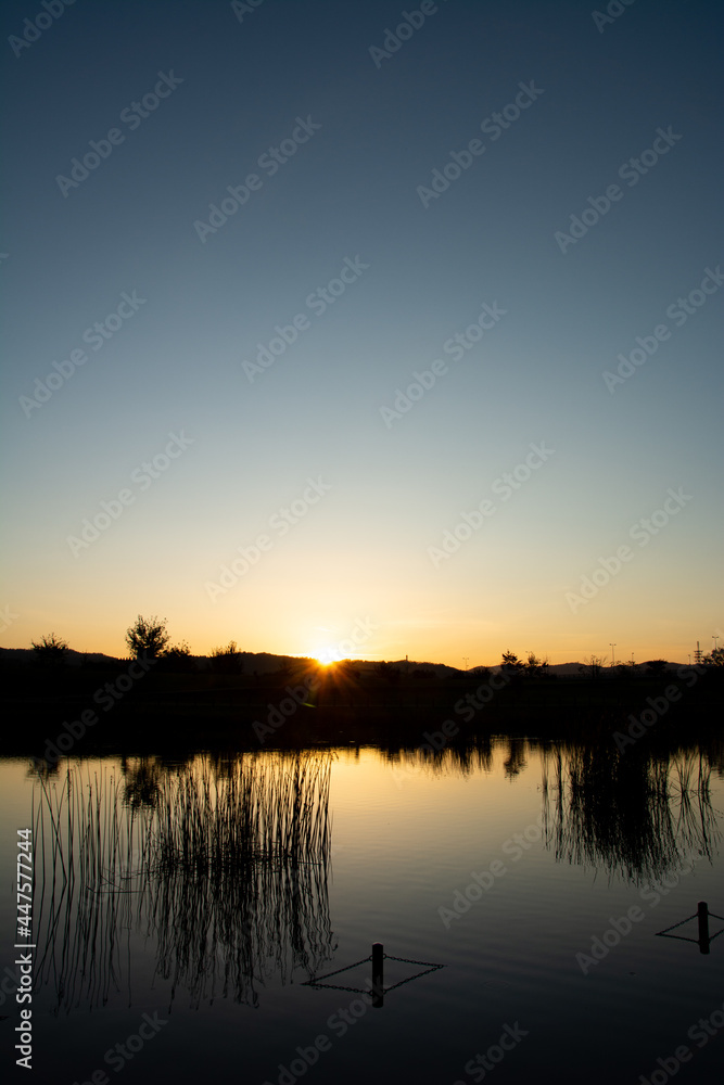 美しい夕空を映す池の水面
