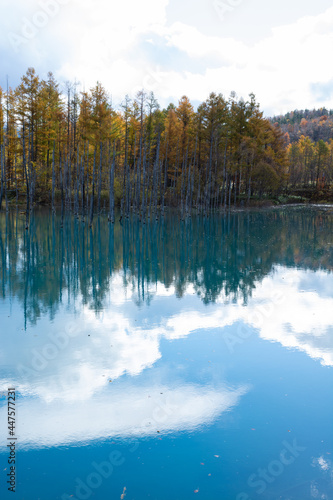 青空を映す秋の青い池 美瑛町 © kinpouge