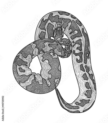 Royal python snake.  Meditative coloring of antistress. Arrows, strips, scales, lines. Logo, print on the T-shirt. Children's painting, drawing by hand. 
