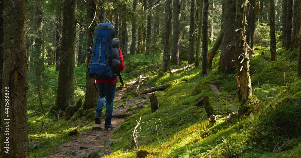 Tourist guy with a backpack walks along a trail in a beautiful forest Tourist guy with a backpack walks along a trail in a beautiful forest