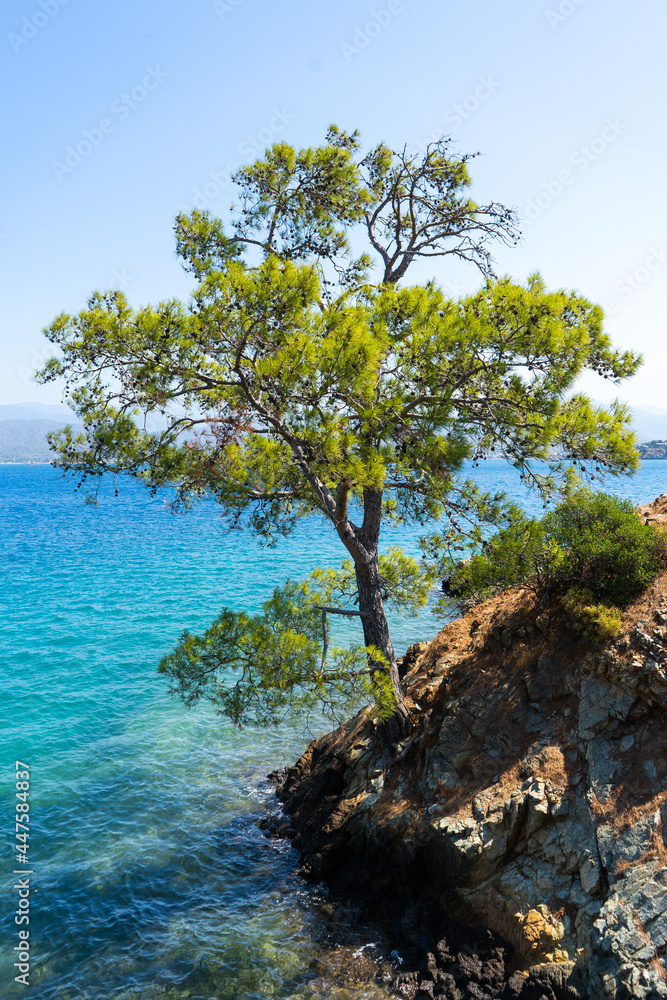 Picturesque landscape of the peninsula beach, view from the mountain road. Fethiye, Mugla province, Turkey. Picturesque landscape of the peninsula beach, view from the mountain road. Fethiye, Mugla province, Turkey.