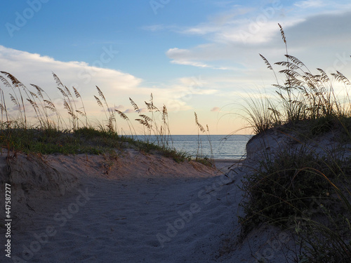 Sea oats-lined path through sand dune on shore at dusk. 