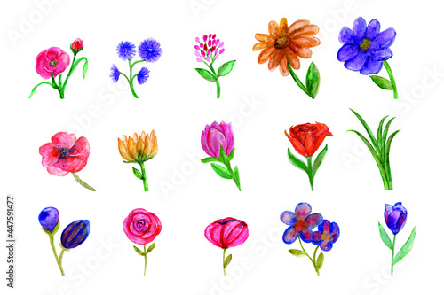 beautiful flower collection with watercolor pattern pola