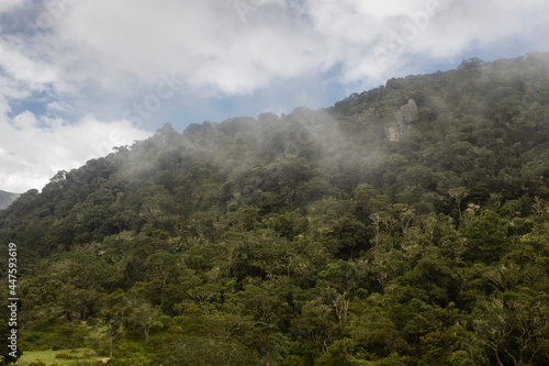 Beautiful foggy forest mountain with an extrange monolith and blue cloudy sky 