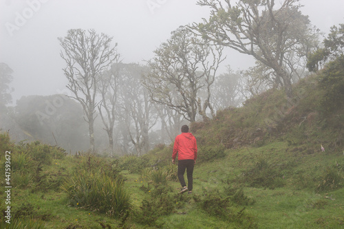 A young man walking in middle of a cloudy rain forest with mysterious trees at background