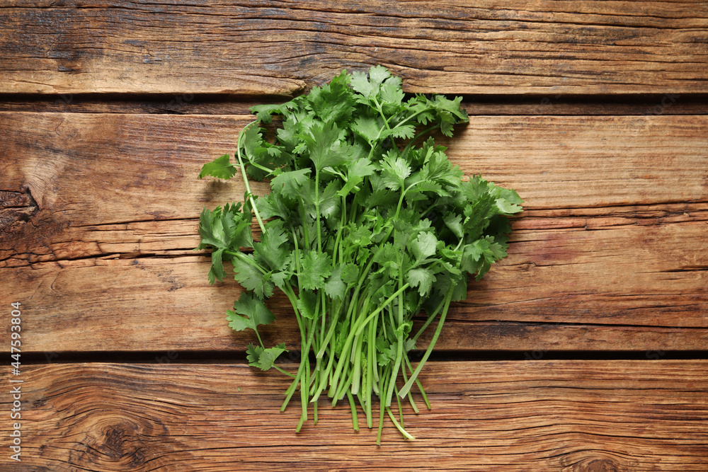 Bunch of fresh aromatic cilantro on wooden table, top view Bunch of fresh aromatic cilantro on wooden table, top view