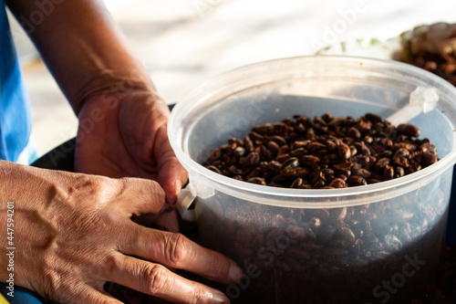 parque tayrona playas llenos de personas camino de calles llenos de gente mar calmo atardeceres cielos azules y trabajadores caminando colombia caribe colombiano, taganga santa marta mendihuaca 