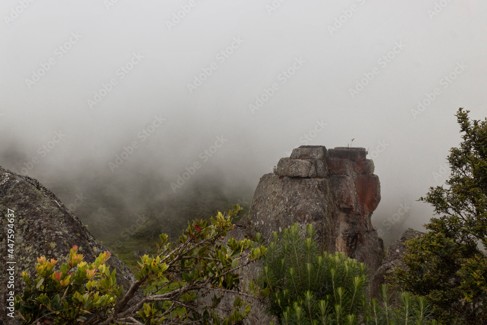 The top of an ancient extrange monolith viewed from the topof another monolith with green smal bushes and andean mountains at background in foggy day
