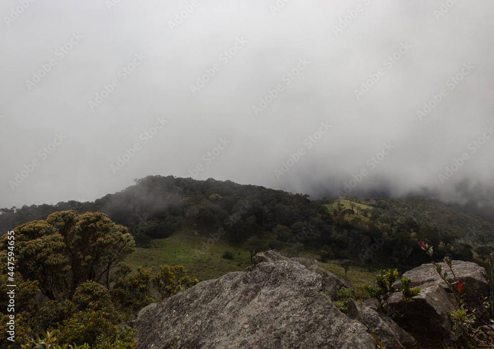 Colombian countryside with endemic vegetation viewed from the top of an ancient monolith in foggy day