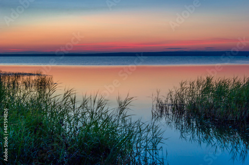 Beautiful pink sunset on the lake. Water sky coast horizon reeds.
