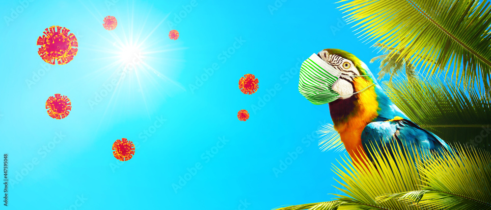 Macaw parrot with medical mask on vacation Macaw parrot with medical mask on vacation