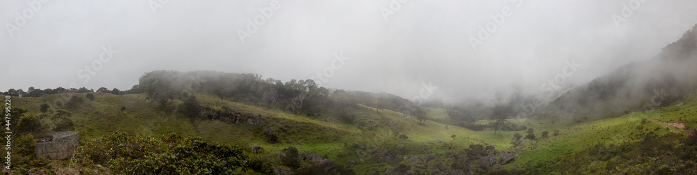 Colombian andean cloudy forest with green countryside and stones. Panoramic photography