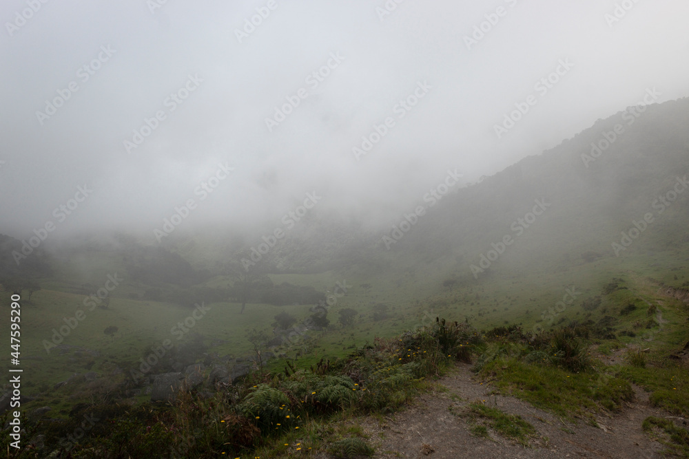 Colombian rural path with greencountryside and fog mountain landscape