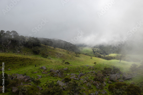 cloudy countryside landscape with andean forest and ancient monoliths