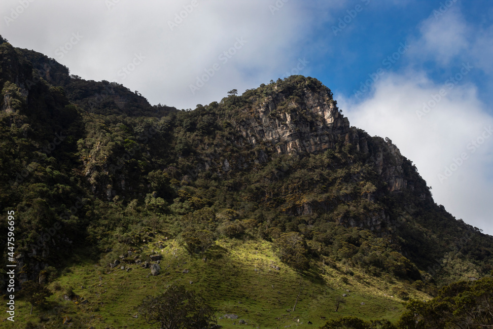 A high colombian andean rocky peak details with cloudy sky and green grassland