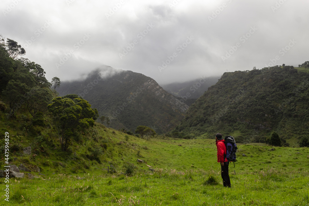 man with a camping backpack near to a forest watching a huge andean cloudy mountain range valley 