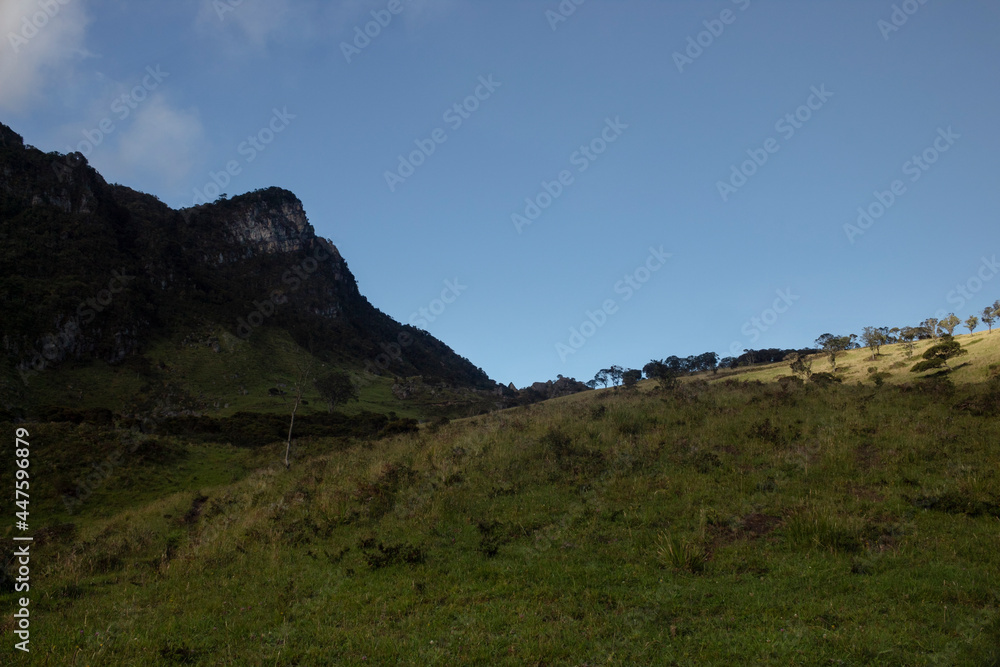Colombian andean countryside with andean forest mountain range at morning blue hour and blue sky at background Colombian andean countryside with andean forest mountain range at morning blue hour and blue sky at background
