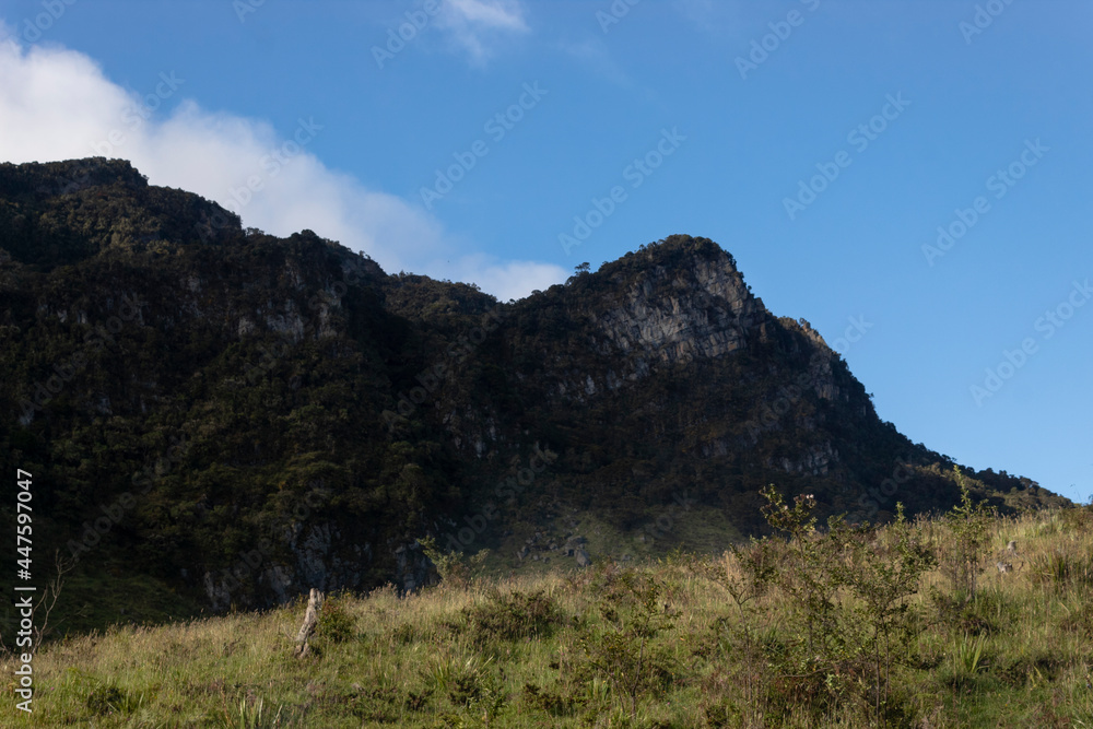 Beautiful high rocky peak of an andean forest mountain range with blue sky and green grassland at morning golden hour