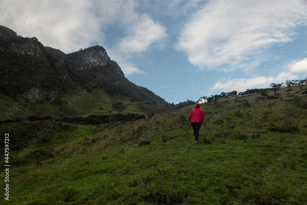 an adult man walking in middle of a country valley with andean forest rocky mountain range at background early in the morning