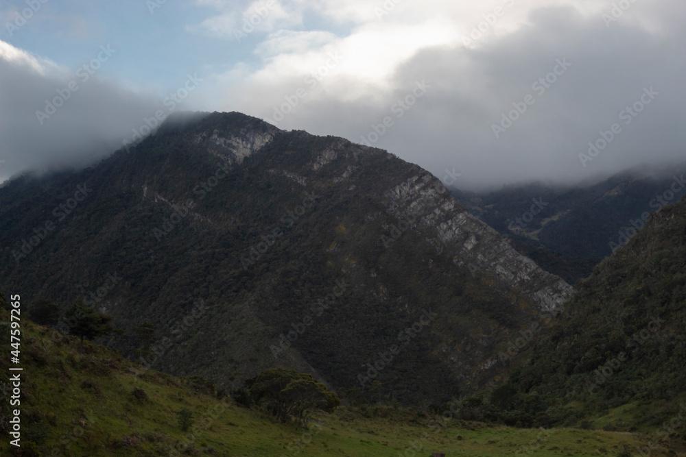 white stones of a high andean forest peak details with cloudy sky early in the morning