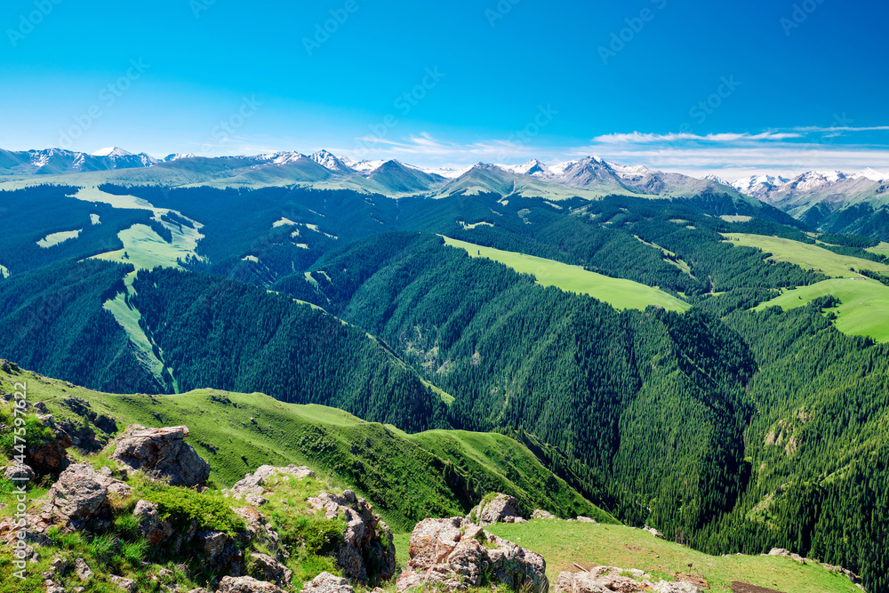 Naklejka premium The beautiful landscape of Kalajun grassland of Yili of Xinjiang, China.