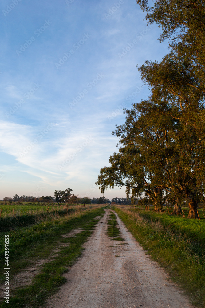 atardecer, buenos aires, provincia de buenos aires, molino de viento, molino paisaje, azul sol atardecer, buenos aires, provincia de buenos aires, molino de viento, molino paisaje, azul sol