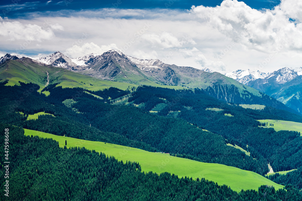 The beautiful landscape of Kalajun grassland of Yili of Xinjiang, China. The beautiful landscape of Kalajun grassland of Yili of Xinjiang, China.