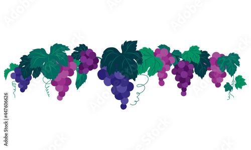 ぶどうのイラストの装飾