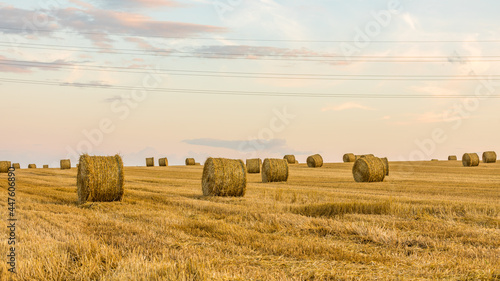 Straw logs in rural summer landscape in France