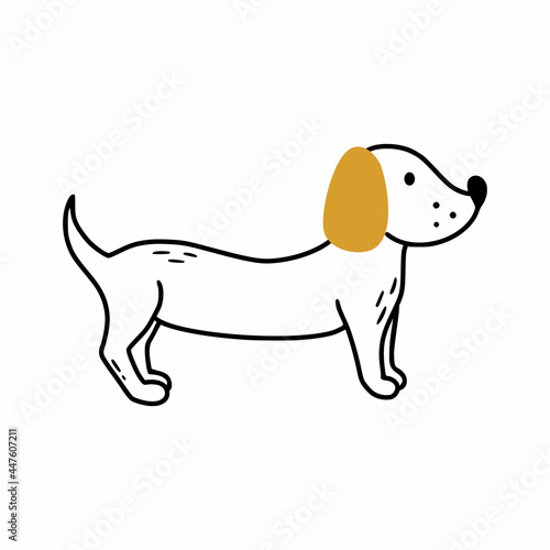 Cute dachshund drawn in style of hand drawn. Dog on white background.