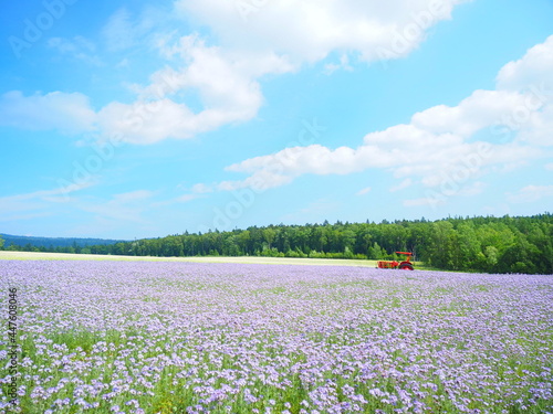 Fotografía 北海道の絶景 富良野麓郷展望台 花畑とトラクター風景