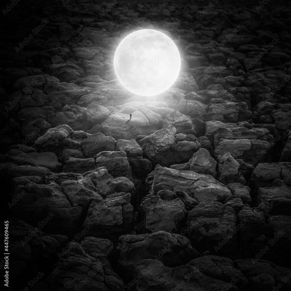 Fototapeta premium Moon's Earth Journey